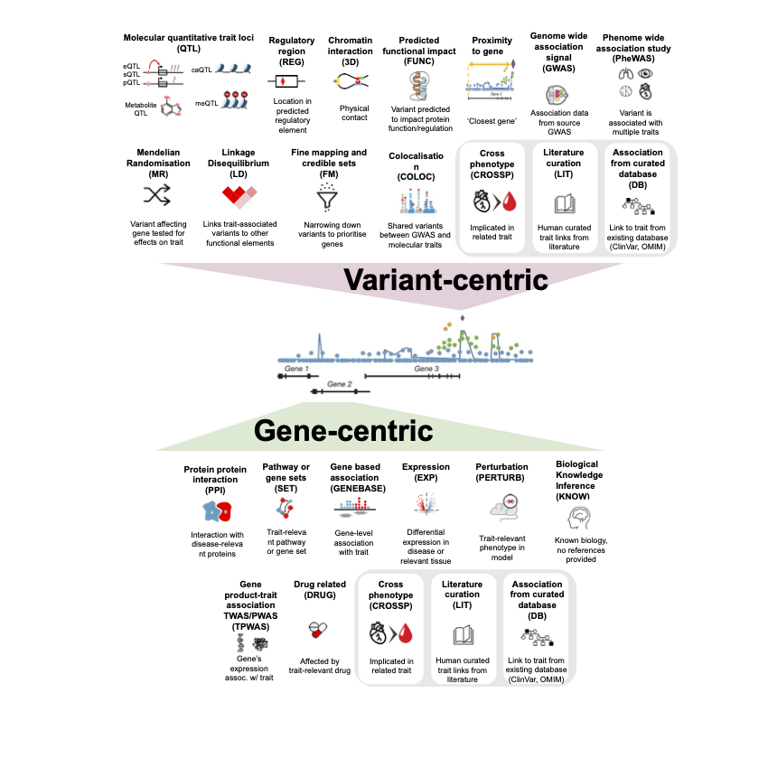 evidence category
